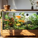 Terrario Exato 2w1 - termometr z higrometrem do terrarium Terrario