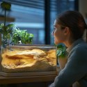 Terrario Long ReptiSun Time Control - lampa z programatorem czasowym Terrario