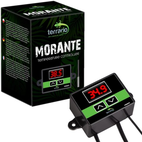 Terrario Morante - termostat terrarystyczny z sondą Terrario Terrario Morante - termostat terrarystyczny z sondą Terrario