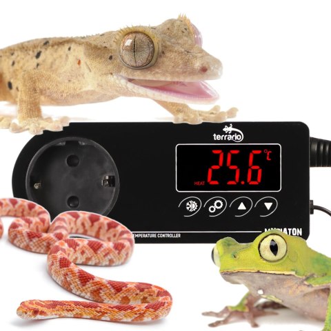 Terrario Myriaton Temperature Controller - termostat elektroniczny Terrario Terrario Myriaton Temperature Controller - termostat elektroniczny Terrario
