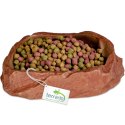 Terrario Natural Bowl M - Miska do Terrarium 11,5x9x3 cm Terrario