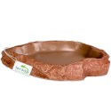 Terrario Natural Bowl - Miska do Terrarium 20x17x3 cm Terrario