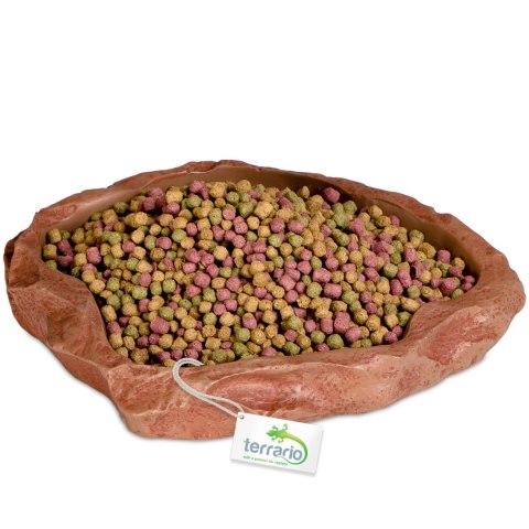 Terrario Natural Bowl - Miska do Terrarium 20x17x3 cm Terrario Terrario Natural Bowl - Miska do Terrarium 20x17x3 cm Terrario
