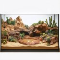 Terrario Natural Bowl - Miska do Terrarium 20x17x3 cm Terrario