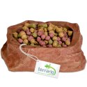 Terrario Natural Bowl S - Miska do Terrarium 8x7x2,5 cm Terrario