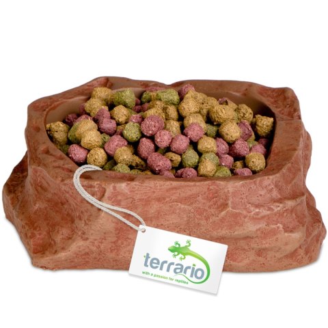 Terrario Natural Bowl S - Miska do Terrarium 8x7x2,5 cm Terrario Terrario Natural Bowl S - Miska do Terrarium 8x7x2,5 cm Terrario
