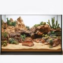 Terrario Natural Bowl S - Miska do Terrarium 8x7x2,5 cm Terrario