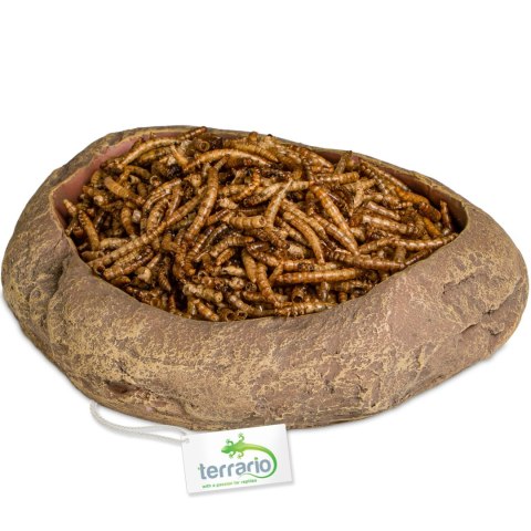 Terrario Rock Oasis L - Miska do Terrarium 17x15x4,5 cm Terrario Terrario Rock Oasis L - Miska do Terrarium 17x15x4,5 cm Terrario