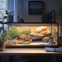 Terrario Rock Oasis L - Miska do Terrarium 17x15x4,5 cm Terrario