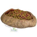 Terrario Rock Oasis L - Miska do Terrarium 17x15x4,5 cm Terrario