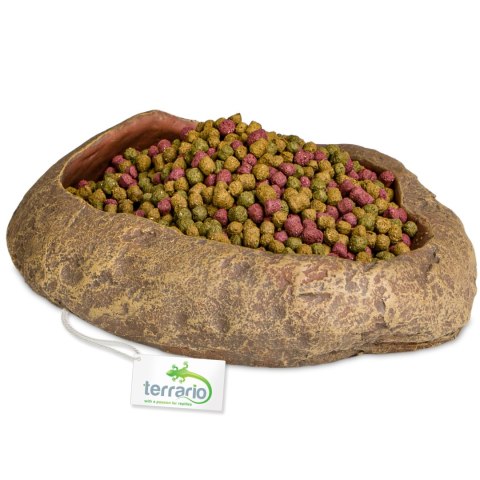 Terrario Rock Oasis L - Miska do Terrarium 17x15x4,5 cm Terrario Terrario Rock Oasis L - Miska do Terrarium 17x15x4,5 cm Terrario