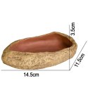 Terrario Rock Oasis M - Miska do Terrarium 14,5x11,5x3,5 cm Terrario