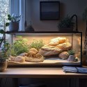 Terrario Rock Oasis M - Miska do Terrarium 14,5x11,5x3,5 cm Terrario