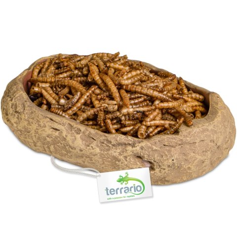 Terrario Rock Oasis M - Miska do Terrarium 14,5x11,5x3,5 cm Terrario Terrario Rock Oasis M - Miska do Terrarium 14,5x11,5x3,5 cm Terrario
