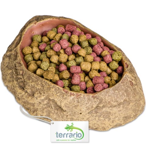 Terrario Rock Oasis S - Miska do Terrarium 10x6,5x2,5 cm Terrario Terrario Rock Oasis S - Miska do Terrarium 10x6,5x2,5 cm Terrario