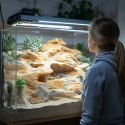 Terrario Rock Oasis S - Miska do Terrarium 10x6,5x2,5 cm Terrario Terrario Rock Oasis S - Miska do Terrarium 10x6,5x2,5 cm Terrario