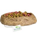 Terrario Rock Oasis S - Miska do Terrarium 10x6,5x2,5 cm Terrario Terrario Rock Oasis S - Miska do Terrarium 10x6,5x2,5 cm Terrario