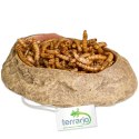 Terrario Rock Oasis S - Miska do Terrarium 10x6,5x2,5 cm Terrario Terrario Rock Oasis S - Miska do Terrarium 10x6,5x2,5 cm Terrario