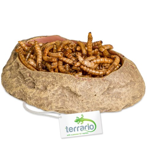 Terrario Rock Oasis S - Miska do Terrarium 10x6,5x2,5 cm Terrario Terrario Rock Oasis S - Miska do Terrarium 10x6,5x2,5 cm Terrario