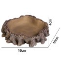 Terrario Root Bowl - Miska do Terrarium 16x16x4 cm Terrario
