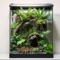 Terrario Root Bowl - Miska do Terrarium 16x16x4 cm Terrario