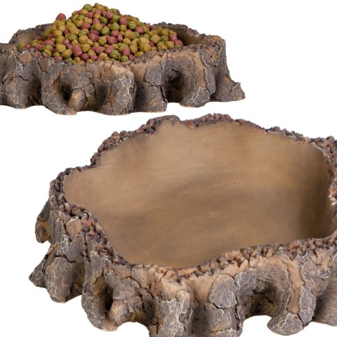 Terrario Root Bowl - Miska do Terrarium 16x16x4 cm Terrario Terrario Root Bowl - Miska do Terrarium 16x16x4 cm Terrario