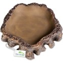 Terrario Root Bowl - Miska do Terrarium 16x16x4 cm Terrario