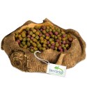 Terrario Rustic Wood Bowl - Miska do Terrarium 12x12x3,5 cm Terrario