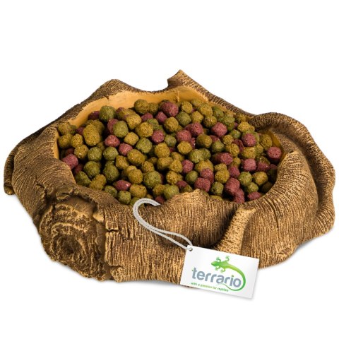 Terrario Rustic Wood Bowl - Miska do Terrarium 12x12x3,5 cm Terrario Terrario Rustic Wood Bowl - Miska do Terrarium 12x12x3,5 cm Terrario