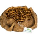 Terrario Rustic Wood Bowl - Miska do Terrarium 12x12x3,5 cm Terrario