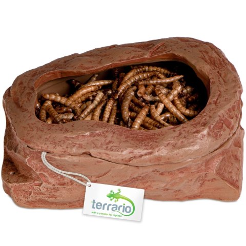 Terrario SplitRock Smart Bowl - miska do karmienia żywym pokarmem 11x9x4 cm Terrario Terrario SplitRock Smart Bowl - miska do karmienia żywym pokarmem 11x9x4 cm Terrario