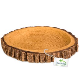 Terrario Tree Ring Bowl M - Miska do Terrarium 12x11x1,5 cm Terrario