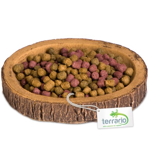 Terrario Tree Ring Bowl S - Miska do Terrarium 9,5x7,5x1 cm Terrario Terrario Tree Ring Bowl S - Miska do Terrarium 9,5x7,5x1 cm Terrario