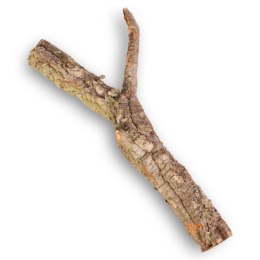 Drzewko z Dębu korkowego 30cm Tropical Forest