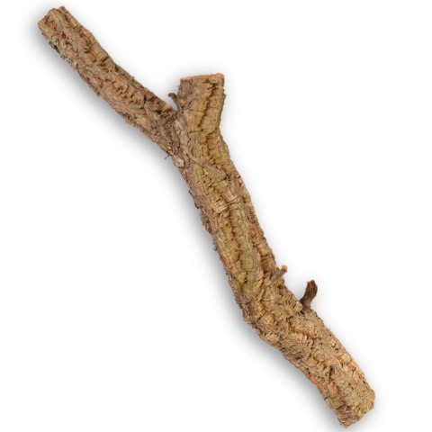 Drzewko z Dębu korkowego 40cm Tropical Forest Drzewko z Dębu korkowego 40cm Tropical Forest