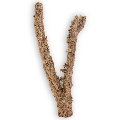 Drzewko z Dębu korkowego 50cm Tropical Forest Drzewko z Dębu korkowego 50cm Tropical Forest
