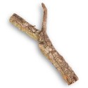 Drzewko z Dębu korkowego 60cm Tropical Forest
