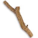 Drzewko z Dębu korkowego 60cm Tropical Forest