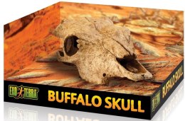 EXO TERRA Buffalo Skull (czaszka bawoła) Exo terra