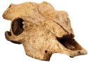 EXO TERRA Buffalo Skull (czaszka bawoła) Exo terra