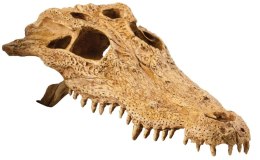 EXO TERRA Crocodile Skull (czaszka krokodyla) Exo terra