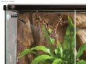 EXO TERRA Monsoon Multi - zraszacz automatyczny 8l Exo terra