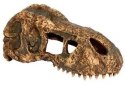 EXO TERRA T-Rex skull (czaszka dinozaura) Exo terra