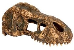 EXO TERRA T-Rex skull (czaszka dinozaura) Exo terra