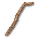 Gałąź z Dębu korkowego 40cm Tropical Forest