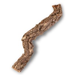 Gałąź z Dębu korkowego 50cm Tropical Forest