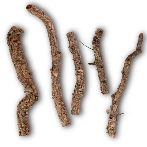 Gałąź z Dębu korkowego 50cm Tropical Forest Gałąź z Dębu korkowego 50cm Tropical Forest