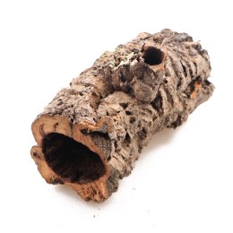 Kora z Dębu Korkowego - na wagę Terrario