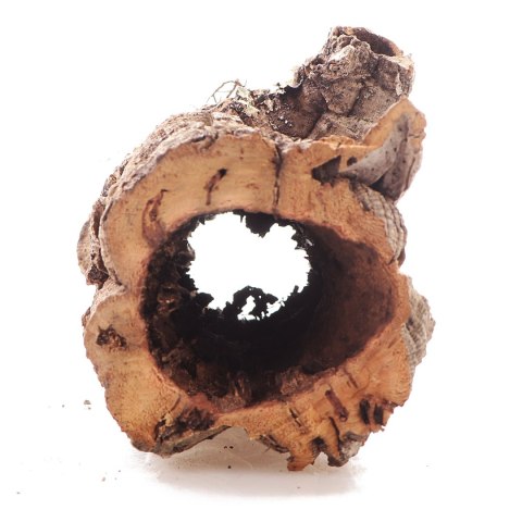 Kora z Dębu Korkowego - na wagę Terrario Kora z Dębu Korkowego - na wagę Terrario