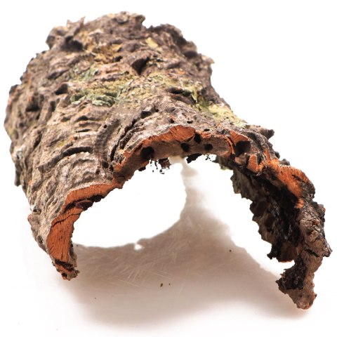 Kora z Dębu Korkowego - na wagę Terrario Kora z Dębu Korkowego - na wagę Terrario